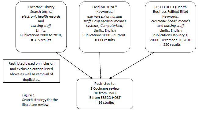 Figure 1: Search strategy for the literature review